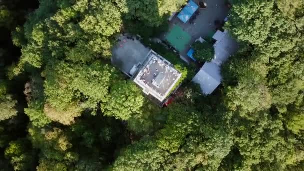Mountain Tower Dense Green Forest Mount Akhun Sochi Russia Video — Stock Video