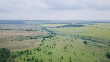 Ormanın kenarında iniş. Bir koru ve alanları Panoraması. Rusya. Video. UltraHD (4k)