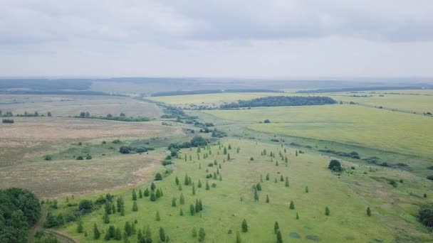 Landung Waldrand Blick Auf Einen Hain Und Felder Russland Video — Stockvideo