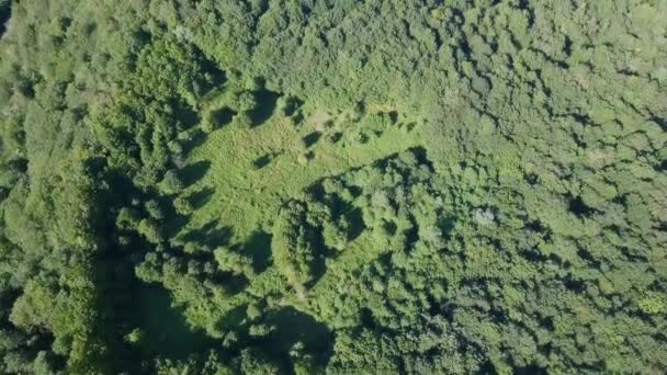 Панорамний Вид Дивовижних Гір Покриті Лісом Сочі Росія Відео Ultrahd — стокове відео