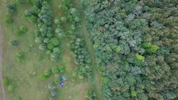 Erstrecken Sich Über Wald Und Feld Panoramablick Russland Video Ultrahd — Stockvideo