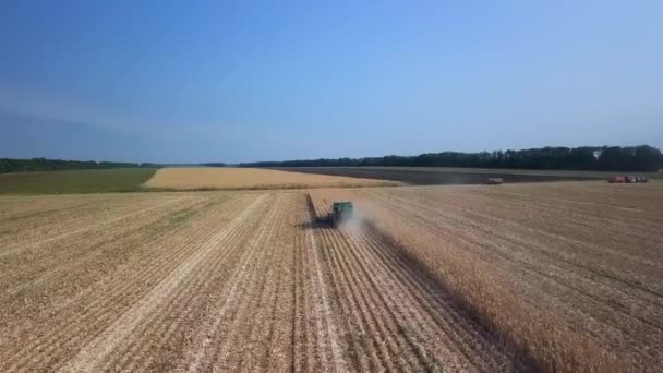 Russia Krasnodar August 2017 Harvesting Corn Harvester Gathering Corn Field — Stock Video