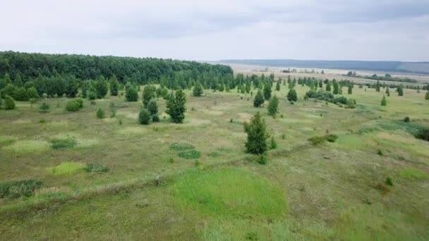夏の森と牧草地 ロシア ビデオ空中パノラマ ビュー Ultrahd — ストック動画