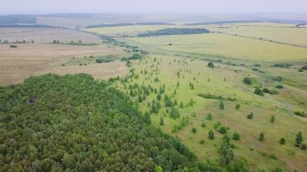 Obejmujących Ponad Pól Lasów Panoramiczny Widok Rosja Wideo Ultrahd — Wideo stockowe