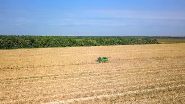 Rusia, Krasnodar - 30 de agosto de 2017: Cosecha de maíz. Cosechadora recoger maíz del campo. Rusia —  Fotos de Stock