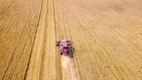Комбайн сбора урожая пшеницы на поле — стоковое фото