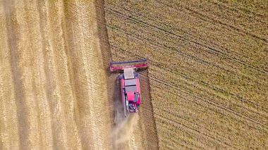 Hasat hasat buğday alanında birleştirmek 