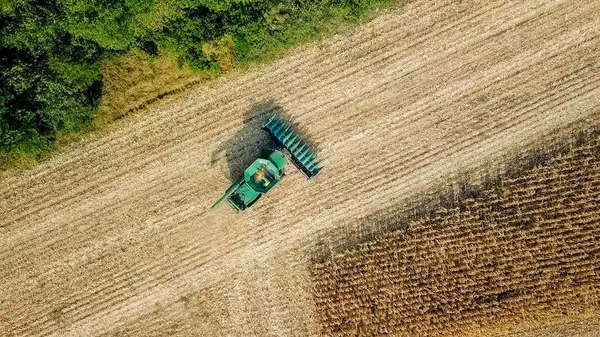 Cosecha de maíz. Cosechadora recoger maíz del campo. Rusia — Foto de Stock