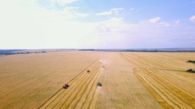 Hasat hasat buğday alanında birleştirmek 