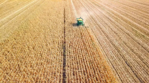 Rússia, Krasnodar - 30 de agosto de 2017: Colheita de milho. Colheitadeira recolher milho do campo. Rússia — Fotografia de Stock