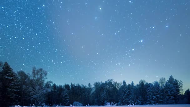 Resultado de imagen para Las Estrella Polar"