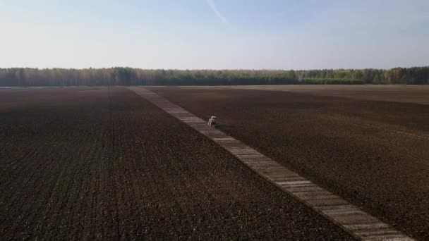 Trator Arado Campo Com Fertilizantes Outono Rússia Vídeo Ultrahd — Vídeo de Stock