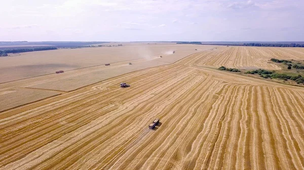 フィールド上のハーベスタ収穫の小麦を組み合わせる — ストック写真