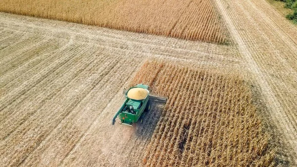 Rússia, Krasnodar - 30 de agosto de 2017: Colheita de milho. Colheitadeira recolher milho do campo. Rússia — Fotografia de Stock