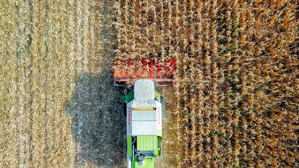 Росія, Краснодарі - 30 серпня 2017: Збирання врожаю кукурудзи. Комбайн збирати кукурудзи з поля. Росія — стокове фото