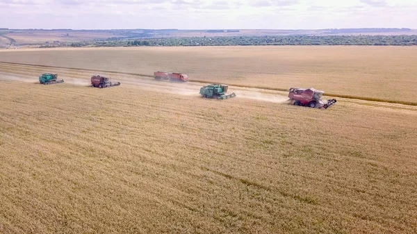 Rusia, región de Penza, distrito de Moksha - 26 de agosto de 2017: Combine la cosecha de trigo cosechador en el campo —  Fotos de Stock