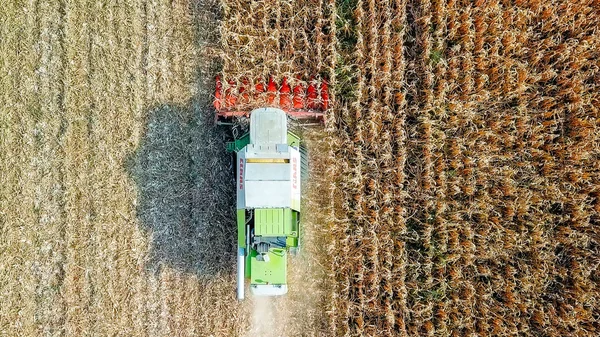 俄罗斯, 克拉斯诺达尔-2017年8月30日: 收割玉米。收割机从地里收集玉米。俄罗斯 — 图库照片