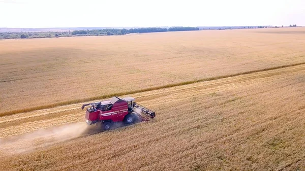 Rusia, región de Penza, distrito de Moksha - 26 de agosto de 2017: Combine la cosecha de trigo cosechador en el campo —  Fotos de Stock