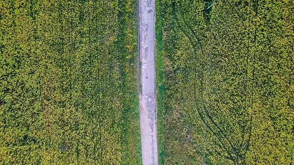 Um voo sobre a estrada que atravessa os campos de girassóis. Rússia — Fotografia de Stock