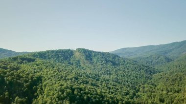 Dağlar ormanıyla kaplıdır. Bir elektrik iletim hattı vardır. Sochi, Rusya Federasyonu  