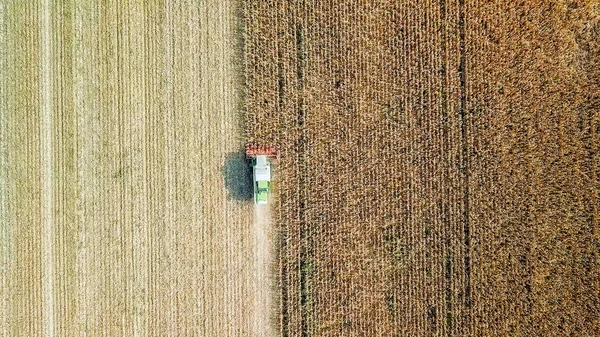 Russia Krasnodar Agosto 2017 Raccolta Mais Mietitrice Raccoglie Grano Dal — Foto Stock