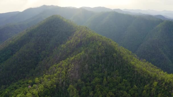 Italië. Met bossen bedekte bergen. Het grondgebied van Pignone in de regio Ligurië, in de provincie La Spezia. 4K — Stockvideo