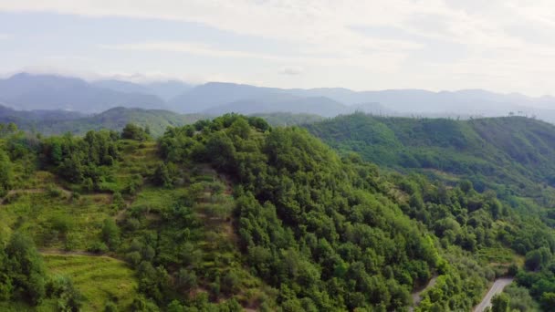 Carrodano Superiore, Italien. Provinsen La Spezia. Fjällskogslandskap. Utsikt uppifrån. 4K — Stockvideo