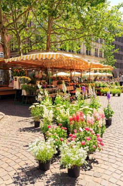 Bremen, Almanya - 28 Haziran 2019: Tarihi kentte çiçek dükkanı