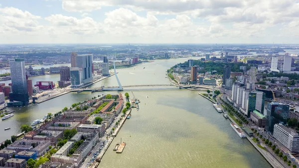 Rotterdam, Hollandia. Norderayland-sziget (Északi-sziget) és Erasmus-híd (Erasmusbrug) a Nieuwe Maas folyó felett, légi nézet — Stock Fotó