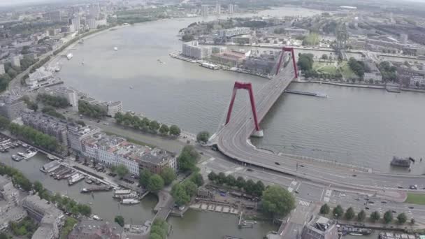 Rotterdam, Netherlands. Williamsburg Suspension Bridge over the Nieuwe Maas River. 4K — ストック動画