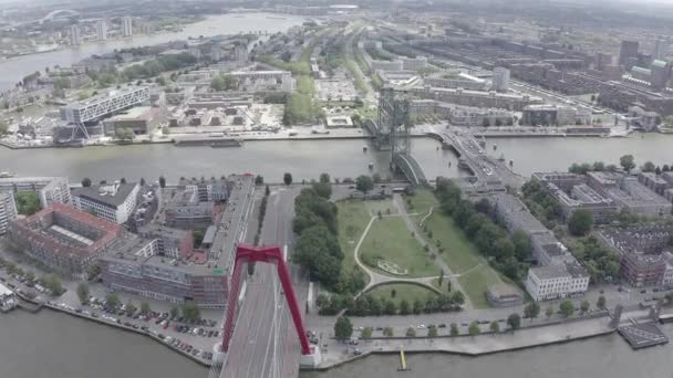 네덜란드 로테르담. 로테르담 다리 (Rotterdam bridge) - 윌리엄스버그 현수교 (Williamsburg recorbridge), 데프 실드 브리지 (de Hef drawbridge), 콘 닝 니 브루 그 다리 (koninginnebrug bridge). 4k — 비디오