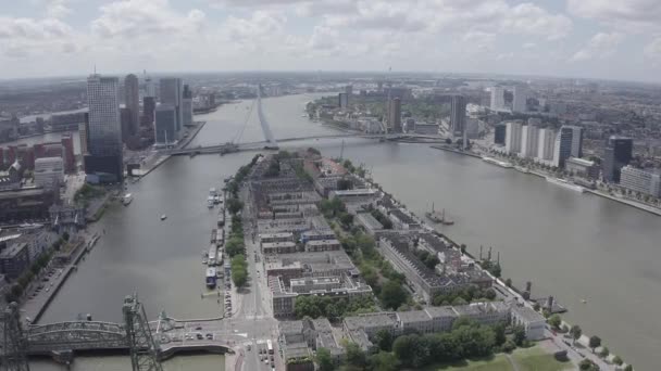 Rotterdam, Netherlands. Norderayland Island ( North Island ) and Erasmus Bridge ( Erasmusbrug ) over the Nieuwe Maas River. 4K — Stock Video