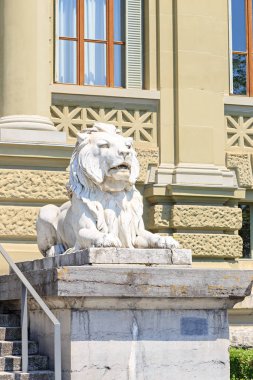 Lozan, İsviçre - 13 Temmuz 2019: Pal 'in Önünde Aslanlar