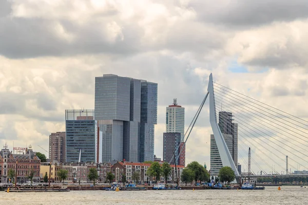 荷兰鹿特丹 2019年7月1日 鹿特丹摩天大楼 鹿特丹 和伊拉斯谟大桥 — 图库照片