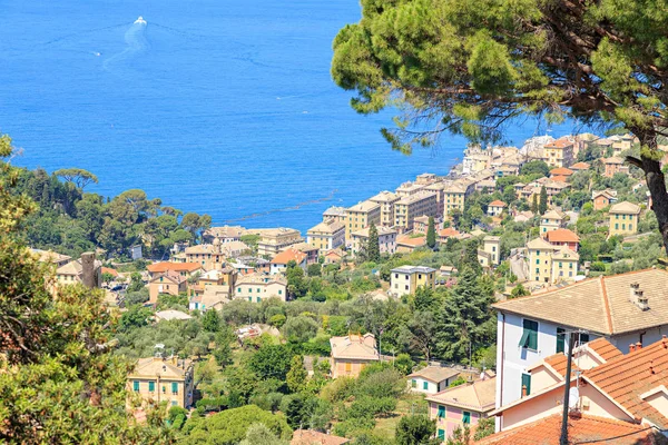 Camogli Italia Riviera Levante Belleza Costa Verano — Foto de Stock
