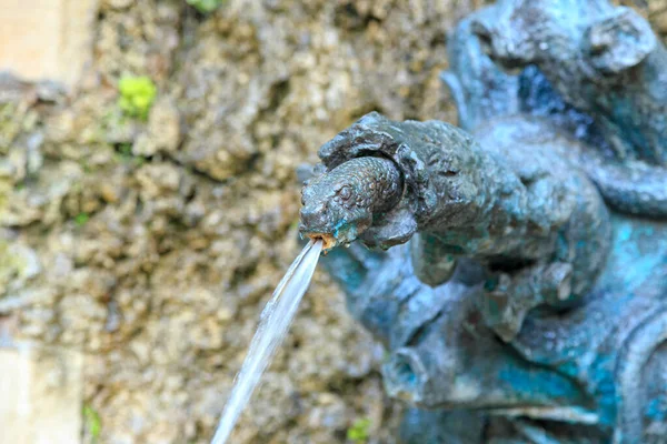 Geneva Switzerland July 2019 Snake Shaped Drinking Fountain Bridge Saint — Stock Photo, Image