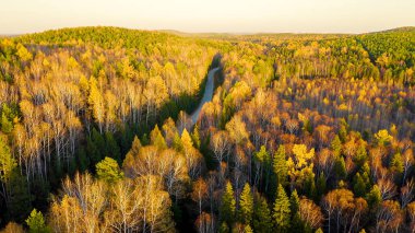 Ormandaki asfalt yolda. Günbatımında karışık ormanın üzerinde uçmak. Yekaterinburg çevresi. Ural, Rusya, Hava Görüntüsü  