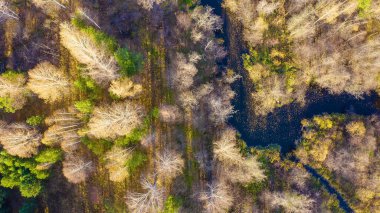 Rusya, Urallar, Ekaterinburg. Sonbahar sulak ormanın arka planındaki karanlık nehir. Gün batımı ışığı, Hava Görüntüsü, Baş üstü çekim  