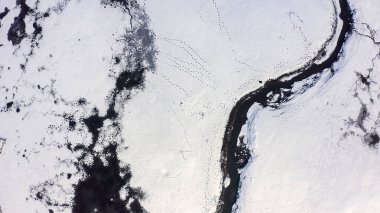 Karla kaplı küçük bir nehri olan bataklıklar. Vahşi hayvanların pek çok ayak izi, Havadan Bakış, Kafadan Vurma  