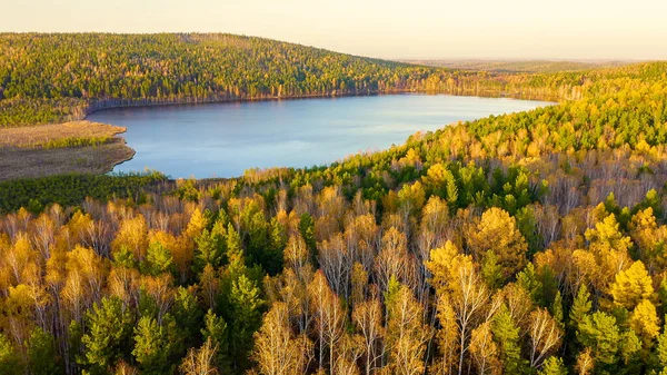 Lago Peschanoye Sandy Volando Sobre Bosque Mixto Otoño Durante Atardecer — Foto de Stock