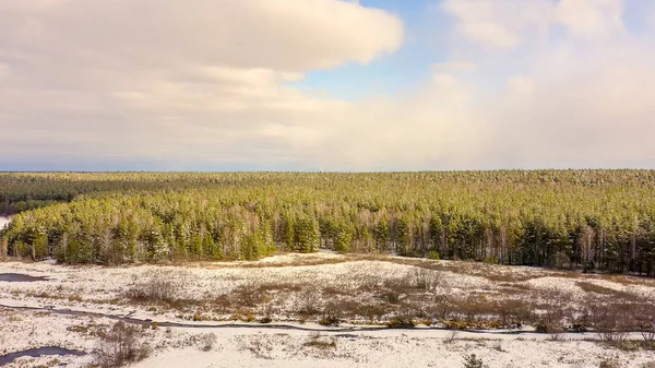 Край Соснового Леса Снег Полях Деревьях Облака Солнце Вид Воздуха — стоковое фото