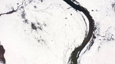 Karla kaplı küçük bir nehri olan bataklıklar. Vahşi hayvanların pek çok ayak izi, Havadan Bakış, Kafadan Vurma  