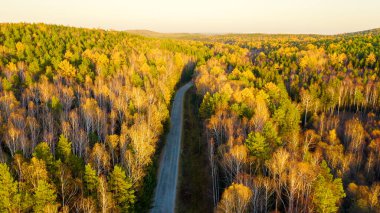 Ormandaki asfalt yolda. Günbatımında karışık ormanın üzerinde uçmak. Yekaterinburg çevresi. Ural, Rusya, Hava Görüntüsü  