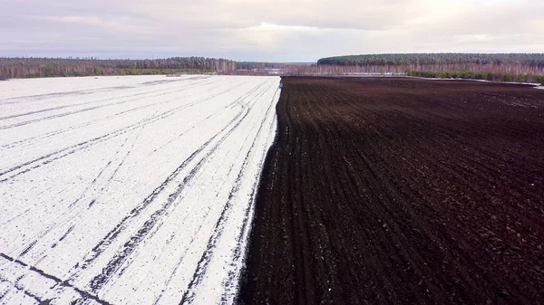 青いトラクターは雪で覆われたフィールドを耕す トラクターの後ろに黒い大地です ロシア ウラル 空中ビュー — ストック写真