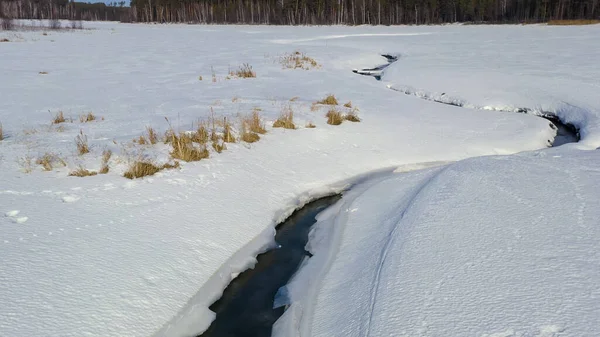 Летать Зимой Над Болотом Покрытым Лесом Маленькая Река Снегу Вид — стоковое фото
