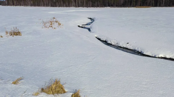 Volando Invierno Sobre Pantano Cubierto Bosque Pequeño Río Nieve Vista — Foto de Stock