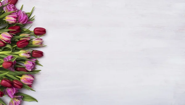 Cabeçalho da flor com espaço de cópia — Fotografia de Stock