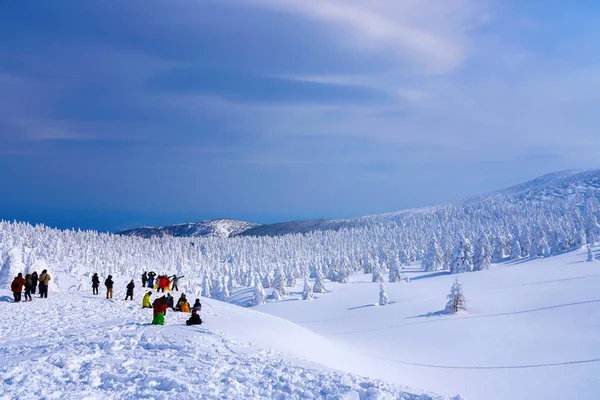 Mostri Neve Del Monte Zao Yamagata Giappone Zao Una Delle — Foto Stock