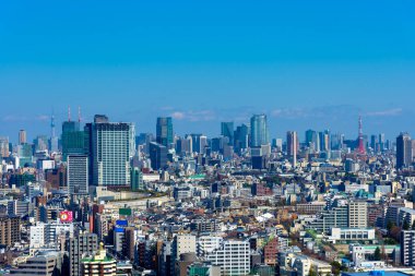 Tokyo, Japonya'nın manzarası. Tokyo skytree ve Tokyo kule birlikte görebilirsiniz.