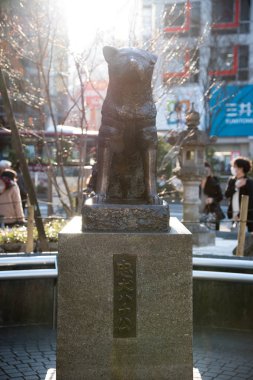 Hachiko Memorial Statue in Shibuya, Tokyo. It is bronze statue honoring Hachiko, the famously loyal Akita dog.